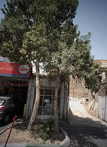 موزائیک سازی