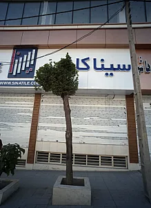 سینا کاشی