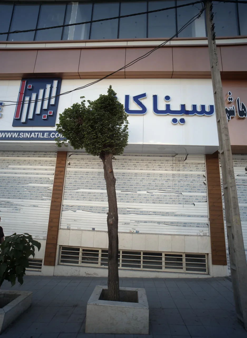 سینا کاشی