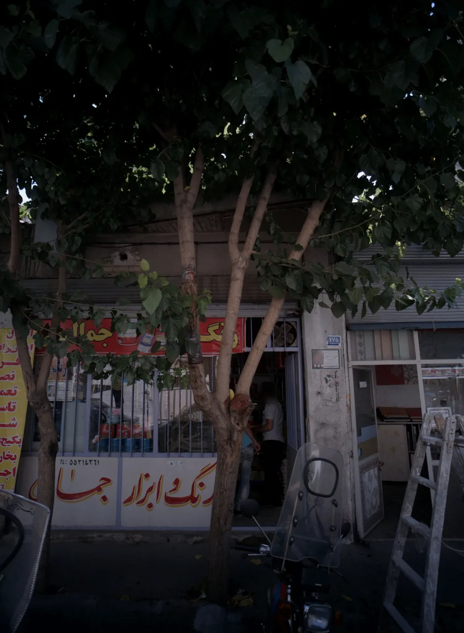 رنگ و ابزار جمالی