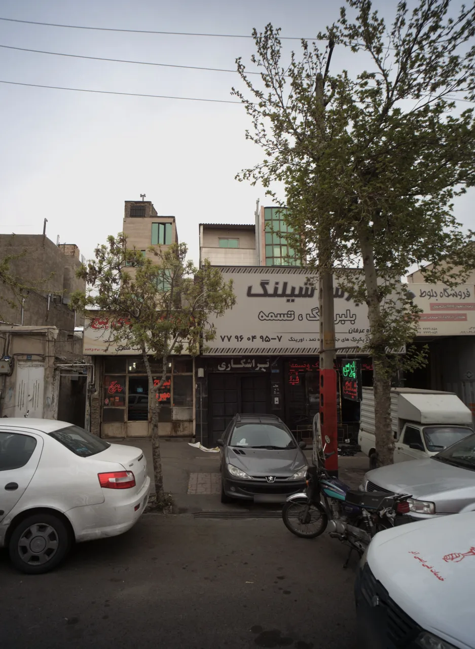 فروشگاه بلوط