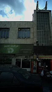 فروشگاه مثلث کابین درخت سبز