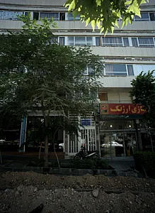 رنگ سازی ارژنگ