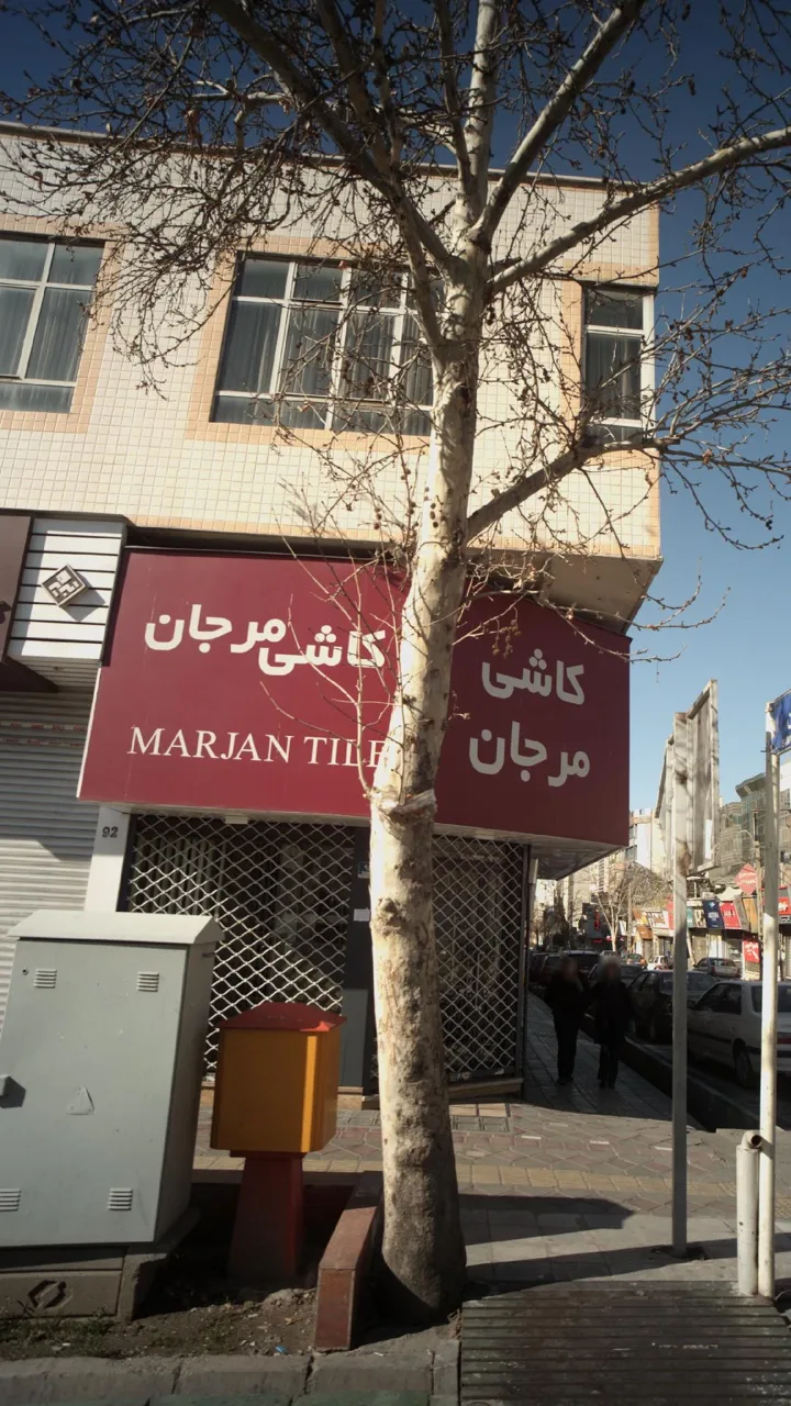 کاشی مرجان - تصویر 2