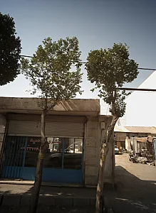 سنگبری امید