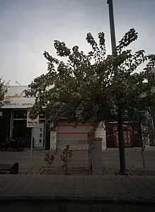 نمایشگاه و فروشگاه آسانسور داتیس