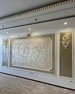 خدمات گچبری رادیس