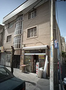 رنگ وحیدی