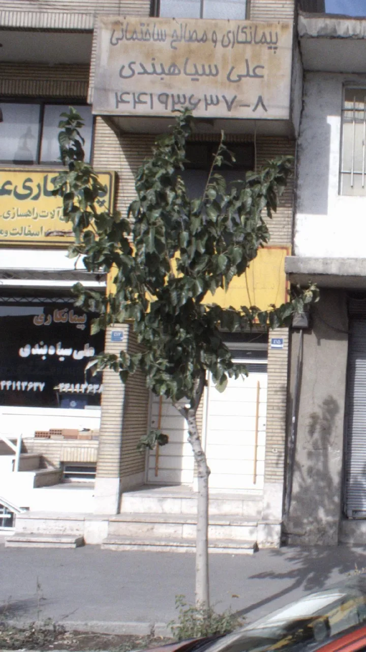 پیمانکاری و مصالح ساختمانی علی سیاهبندی - تصویر 2