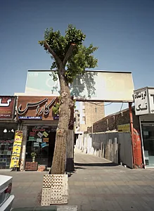 کاشی فیروزه