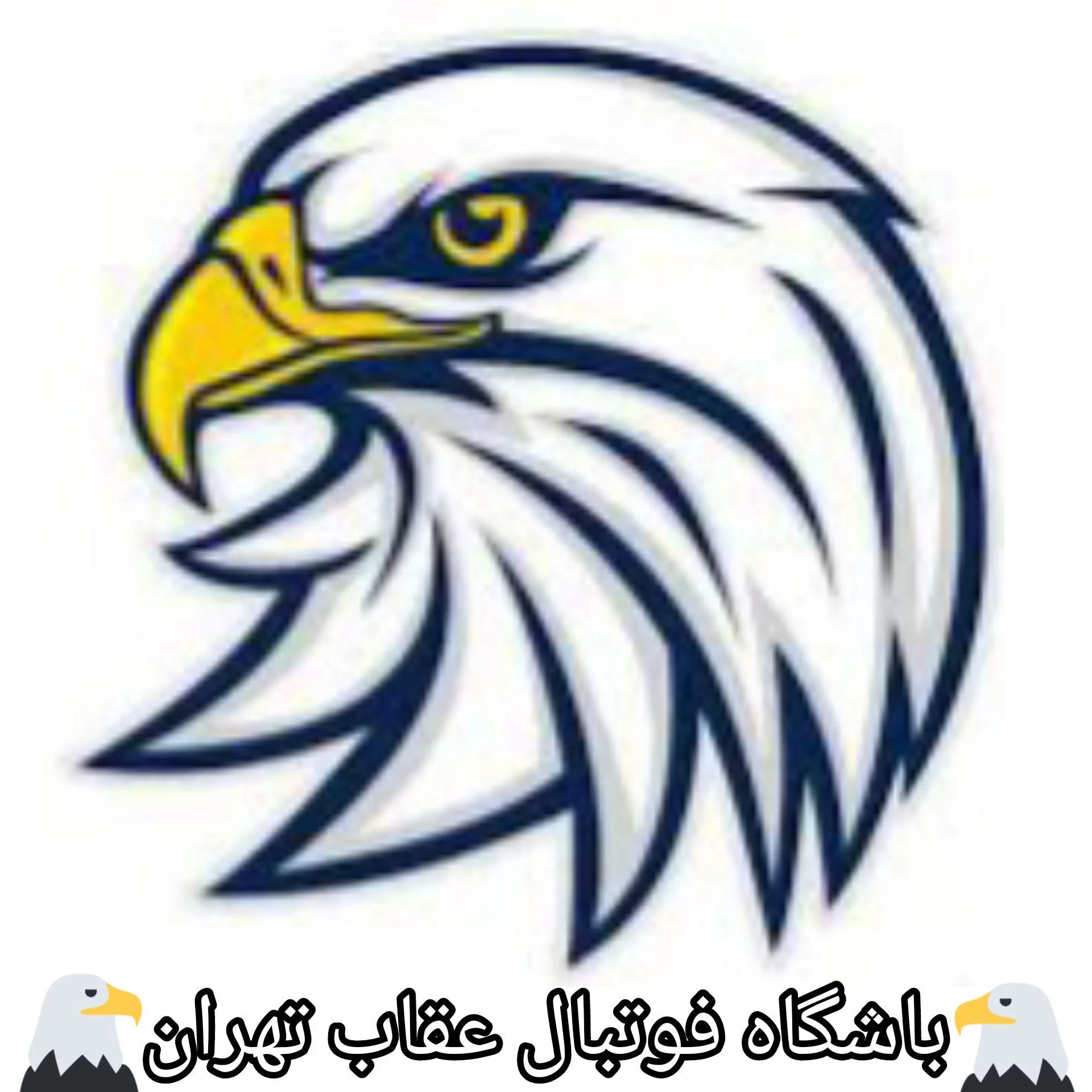 مدرسه فوتبال عقاب تهران