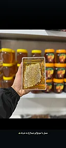 شهر ارگانیک لطفی(برنج ایرانی. چای .عسل)