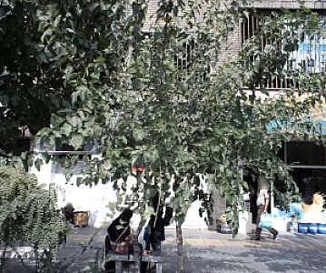 فروشگاه رنگ و ابزار