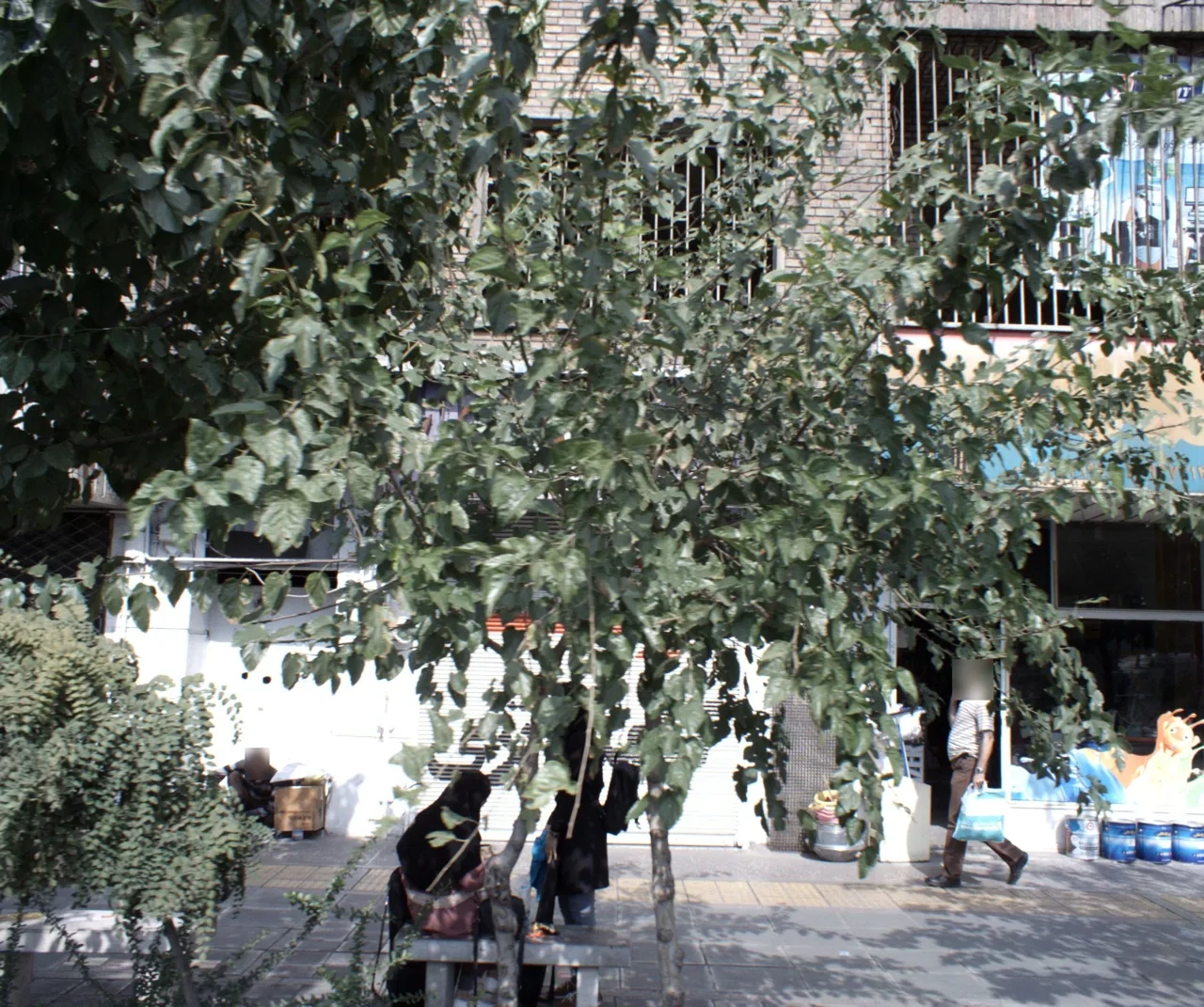 فروشگاه رنگ و ابزار