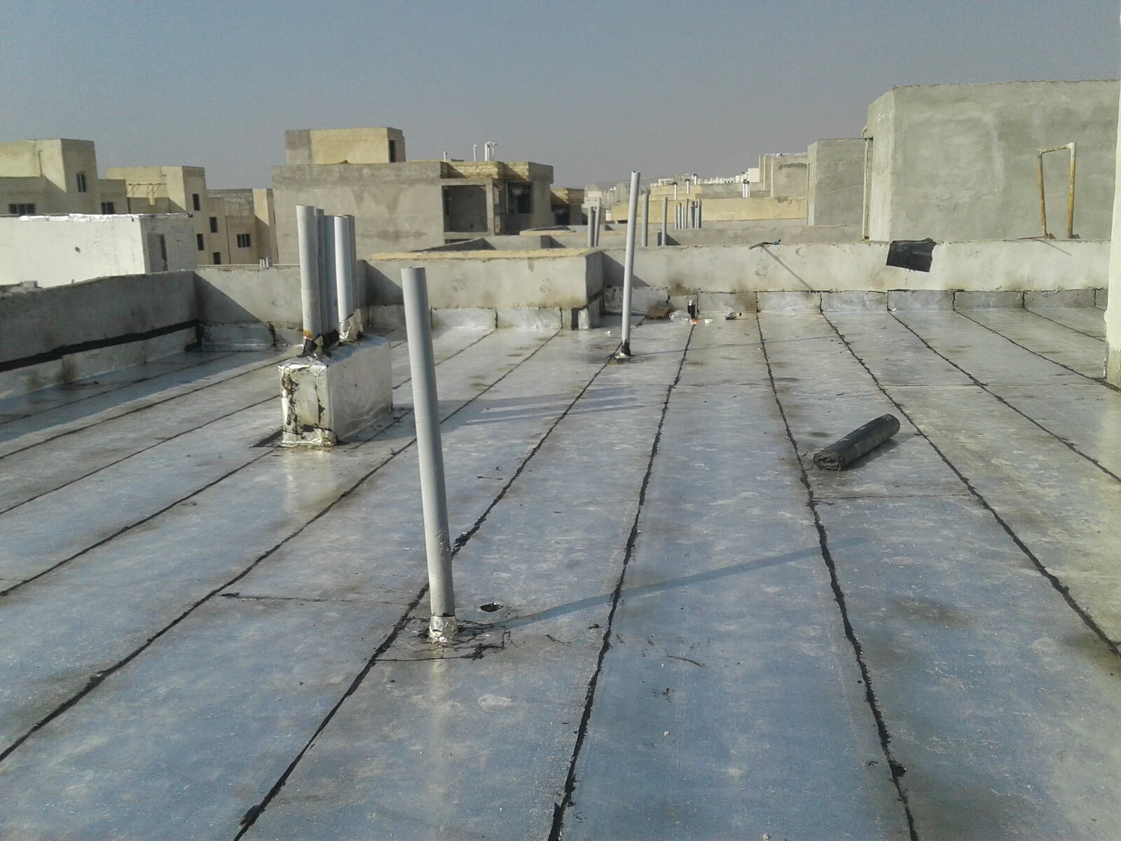 رضا چگینی