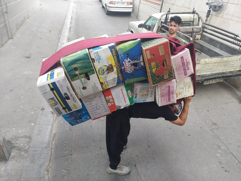 آرمین ابراهیمی - تصویر 2