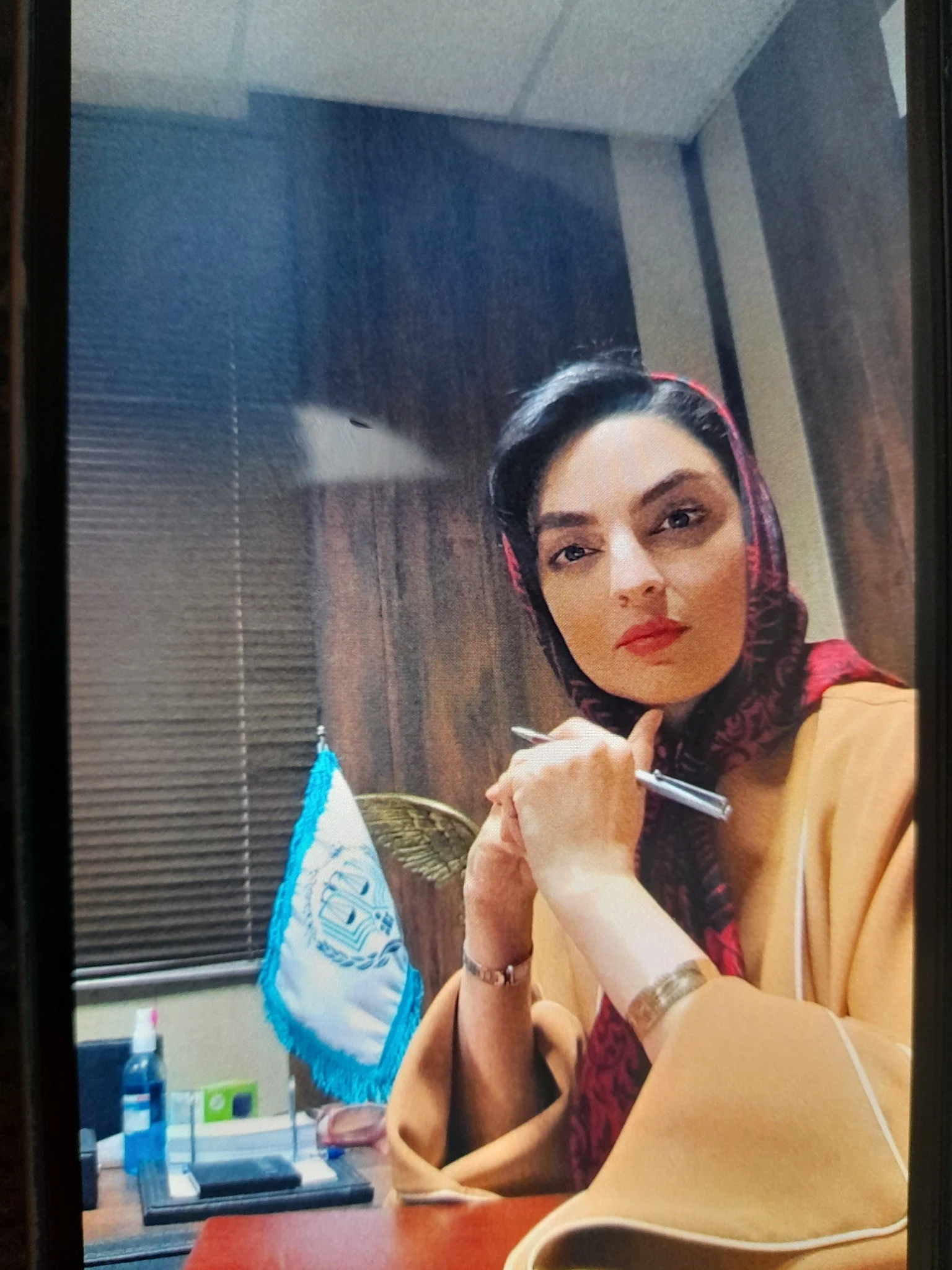 ندا عباسی وکیل پایه یک دادگستری