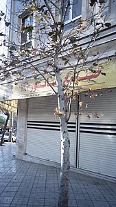 صنایع آسانسور ۱۴۱