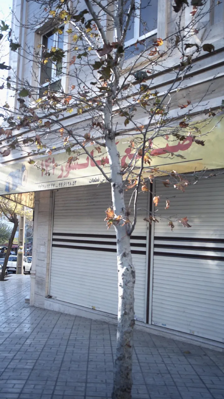 صنایع آسانسور ۱۴۱