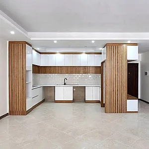 شرکت آریو کابین