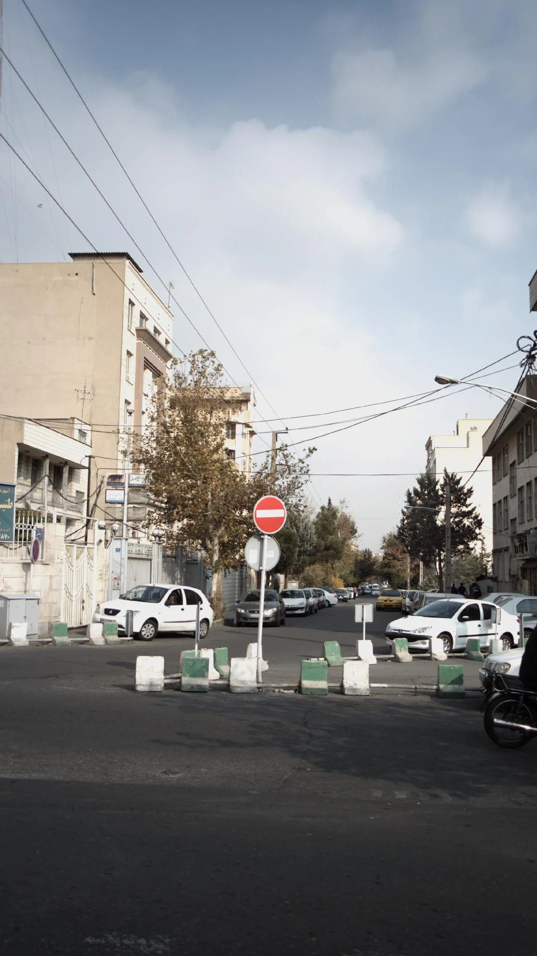 دکتر محمد مهدی ریاضی