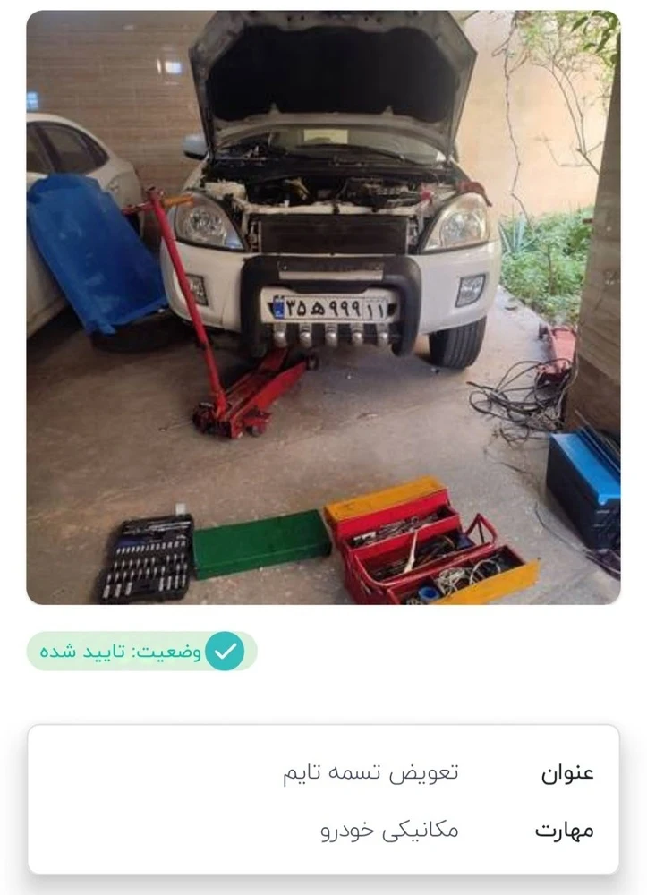 رضا شاه زندی - تصویر 3