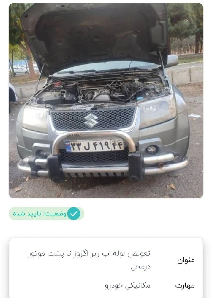 رضا شاه زندی - تصویر 4