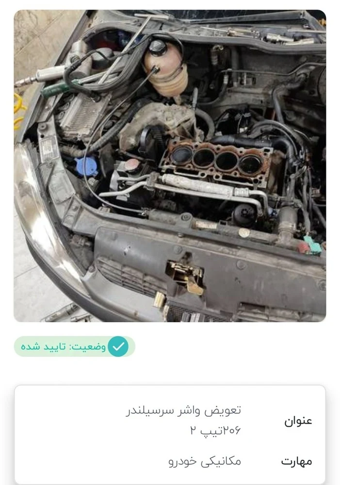 رضا شاه زندی - تصویر 5