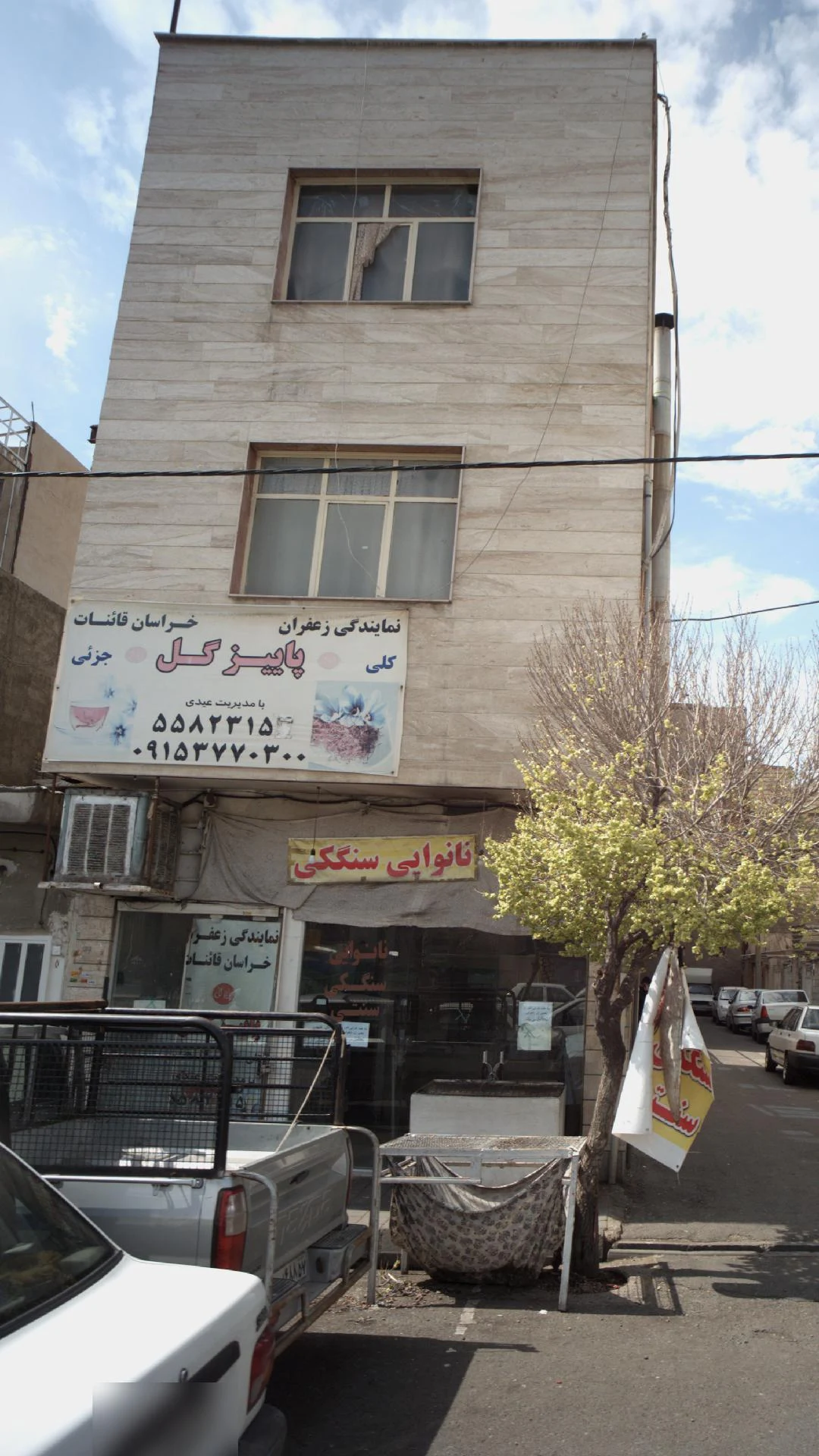 ترشیجات و زیتون ناز خاتون