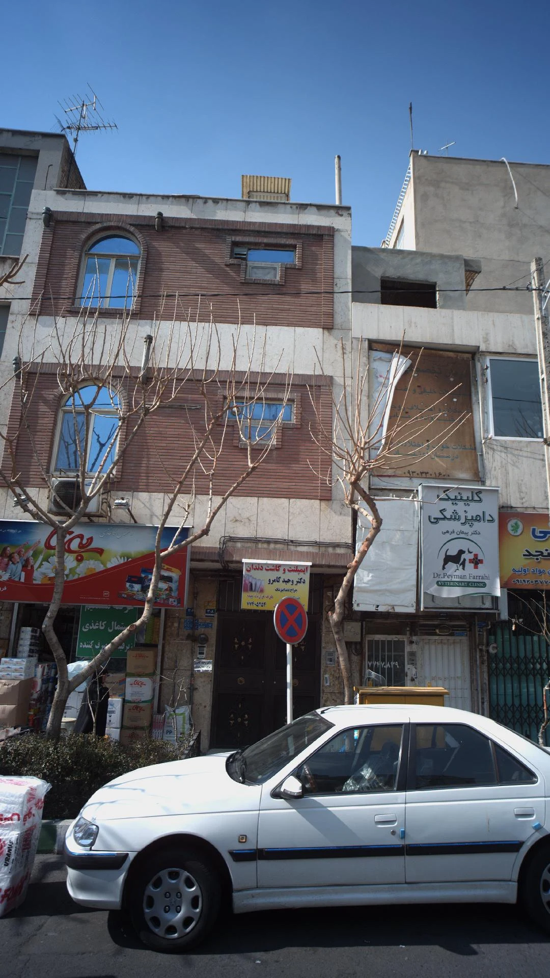 دکتر وحید کامرو - تصویر 3