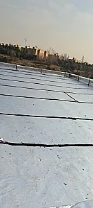 نیما عبداله زاده