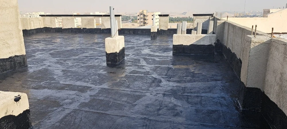 نیما عبداله زاده - تصویر 4