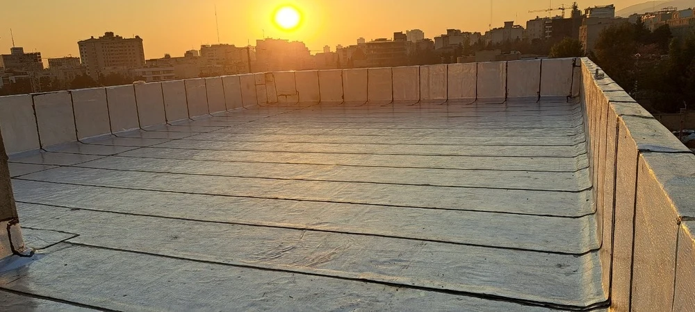 نیما عبداله زاده - تصویر 5