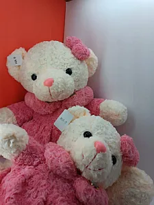 خانه عروسک آنیا