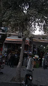 فروشگاه لوازم ساختمانی هاشمی