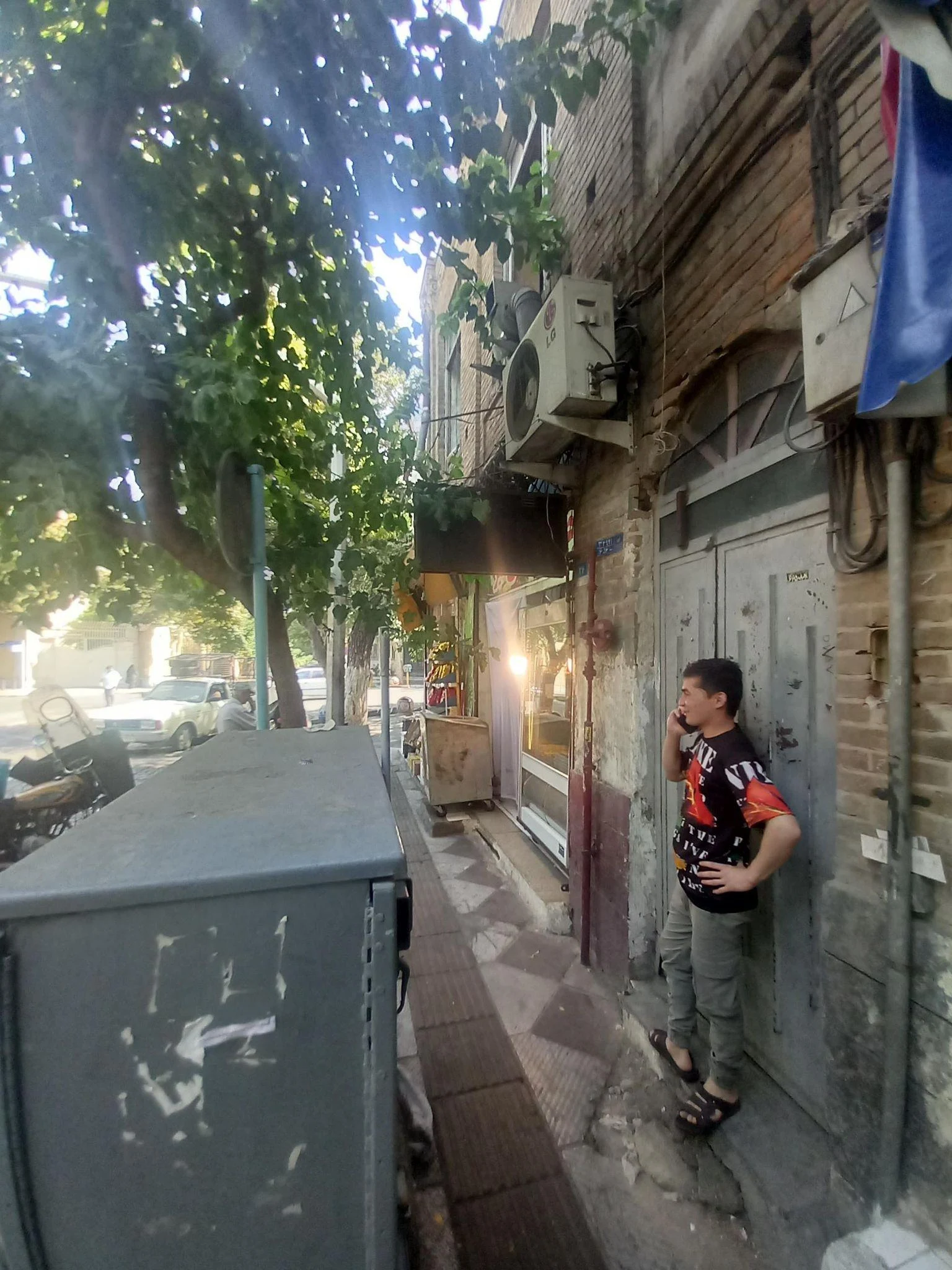 جیگرکی سی تیر - تصویر 2