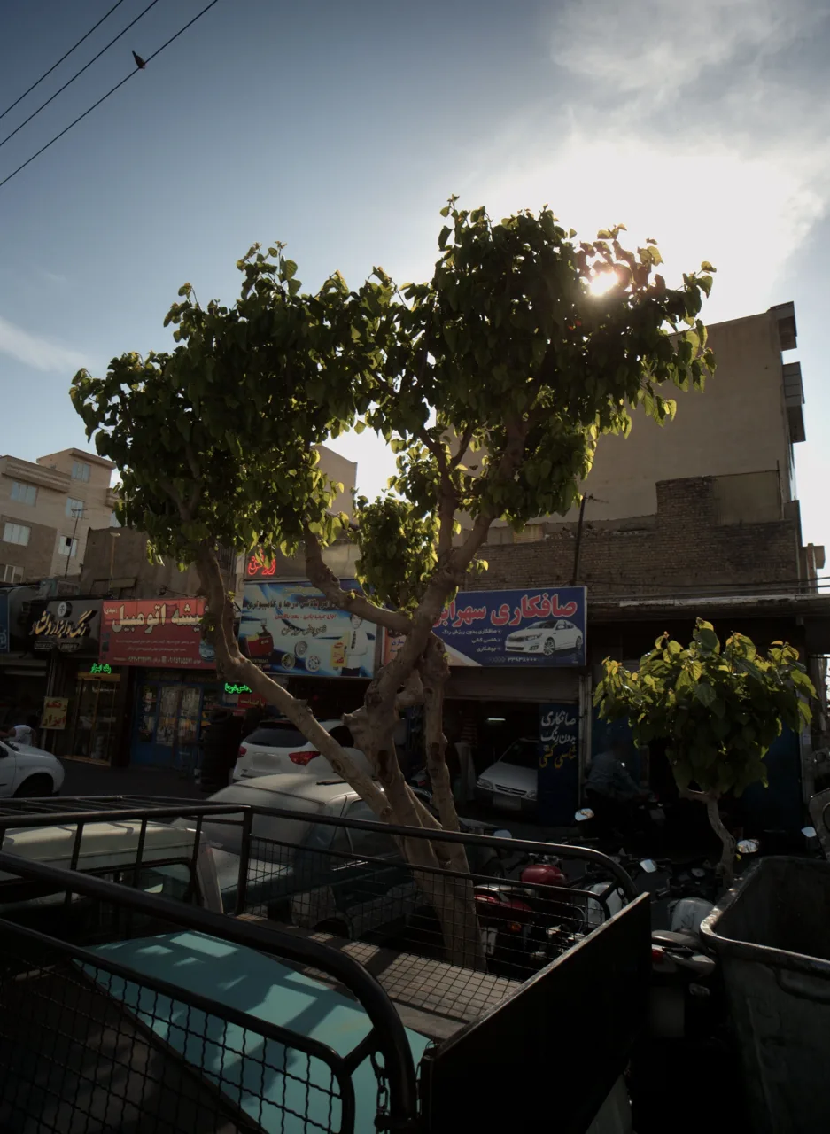 رنگ و ابزار دلشاد - تصویر 2