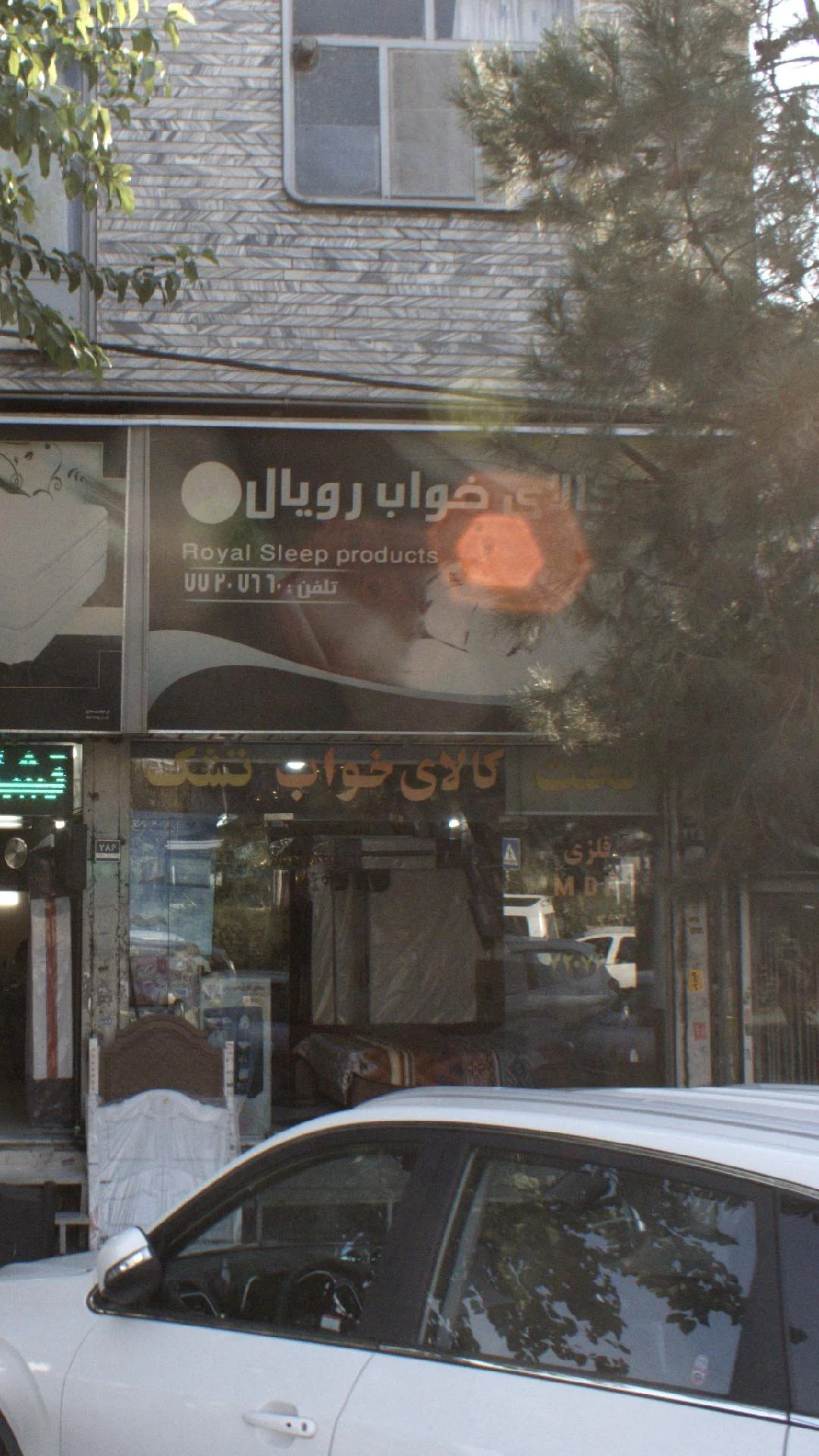 تشک رویال نمایندگی مرکزی
