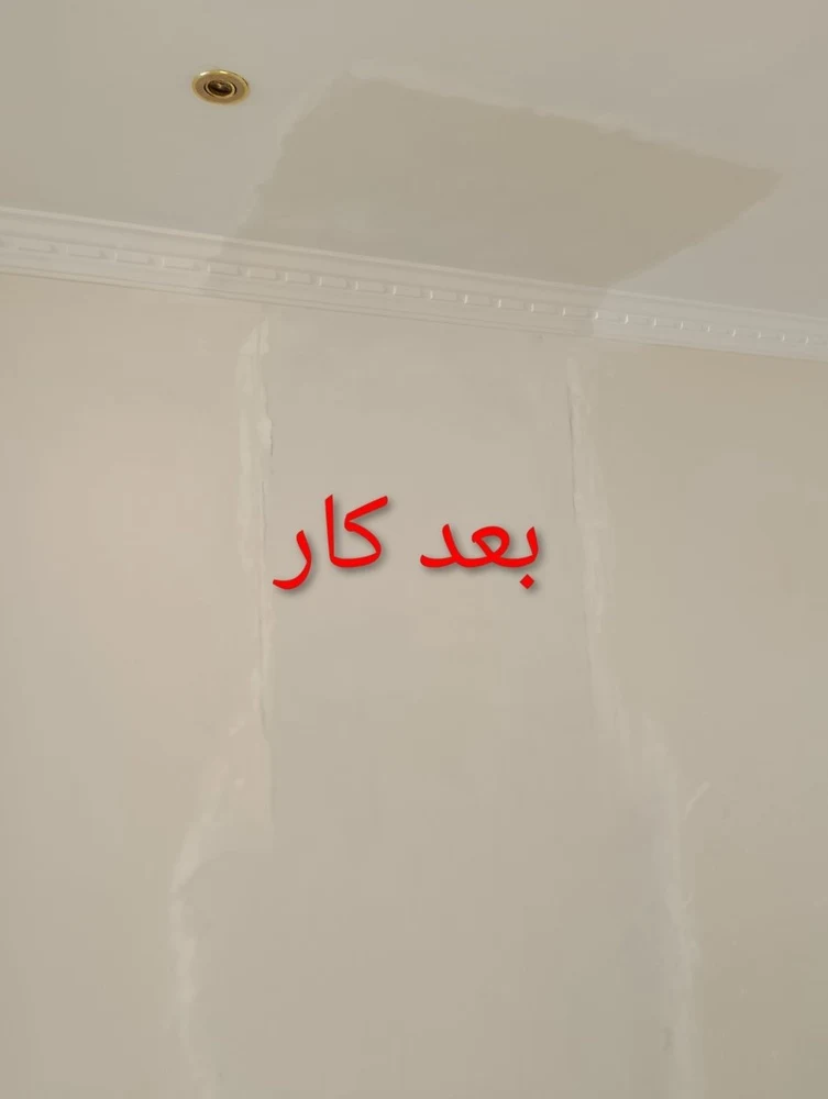 محمد یعقوبی - تصویر 4
