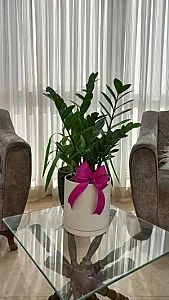 سالن زیبایی مژده بیوتی
