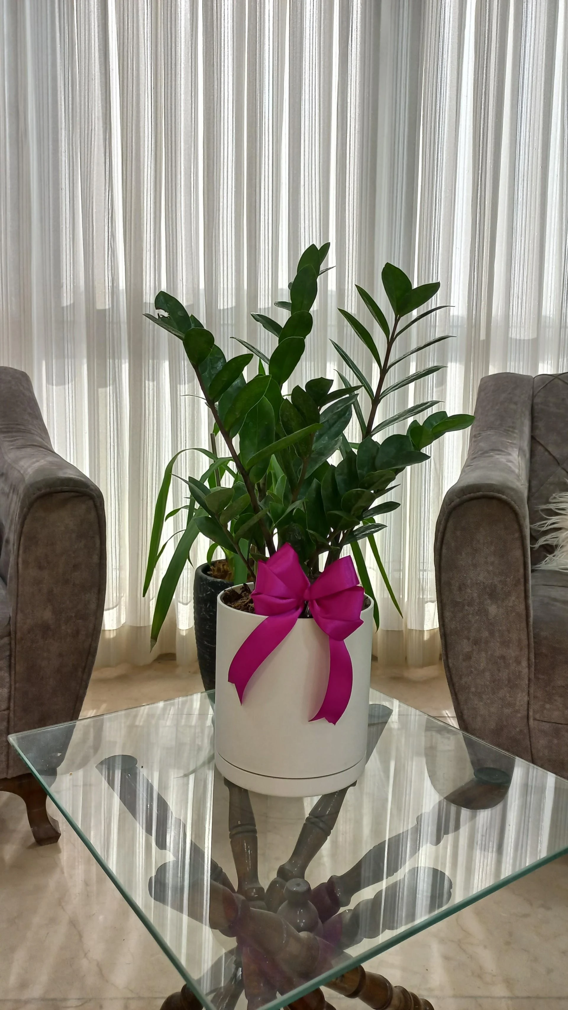سالن زیبایی مژده بیوتی