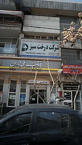 شرکت درخت سبز