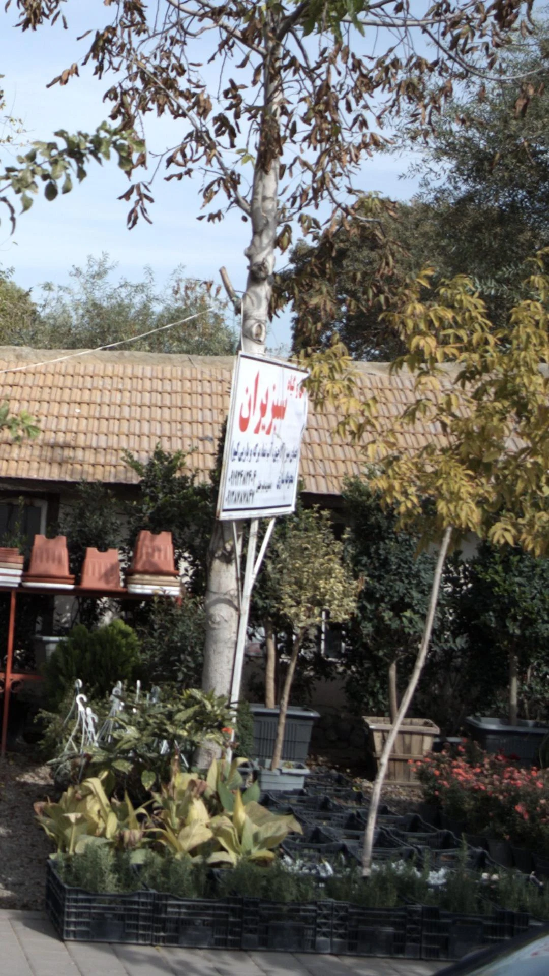 گل و گیاه سبزیران