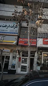 صدف