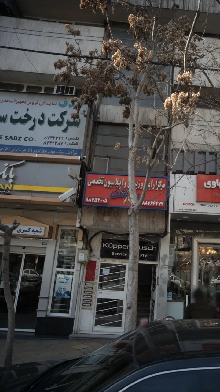 صدف