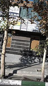 توسعه شرکت های صنعتی ایران 