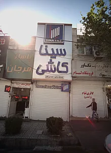 سینا کاشی