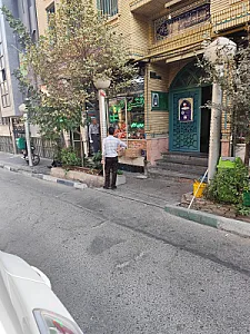 شرکت ارتباطات بین المللی تل سی