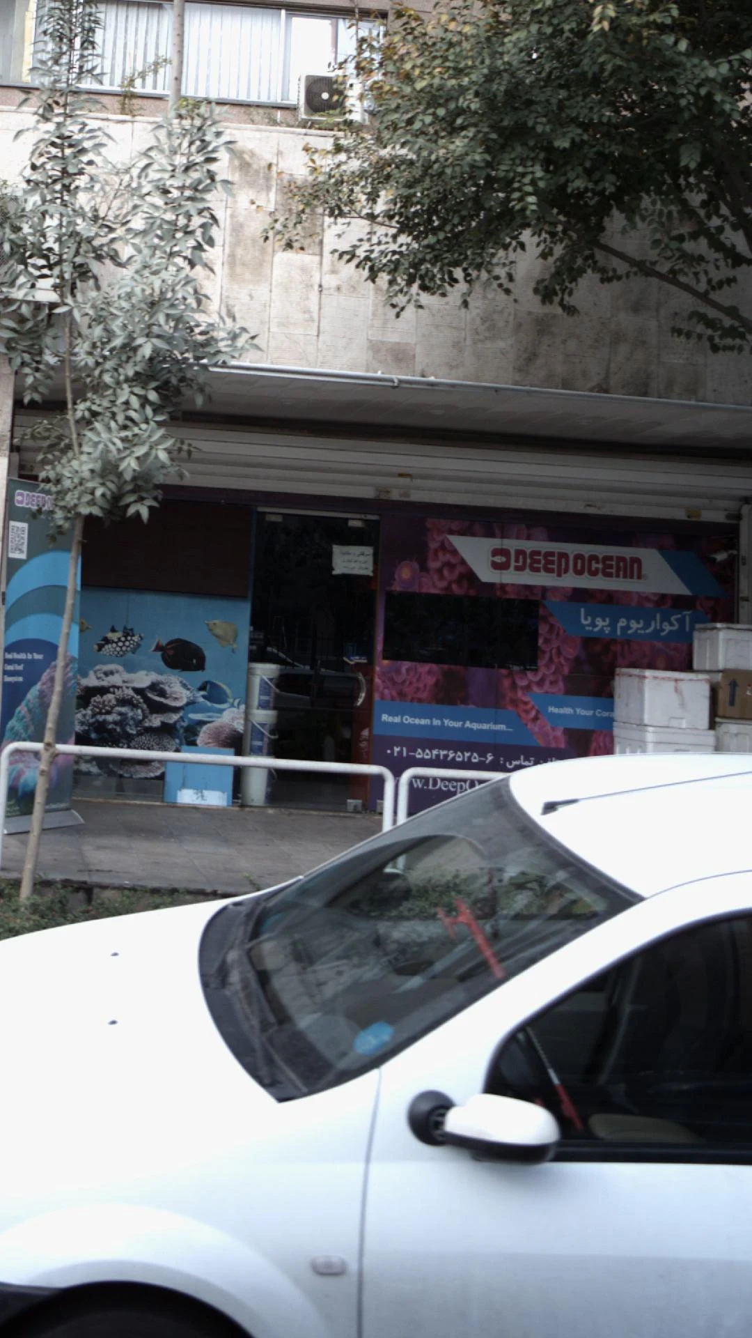 ایران اکواریوم