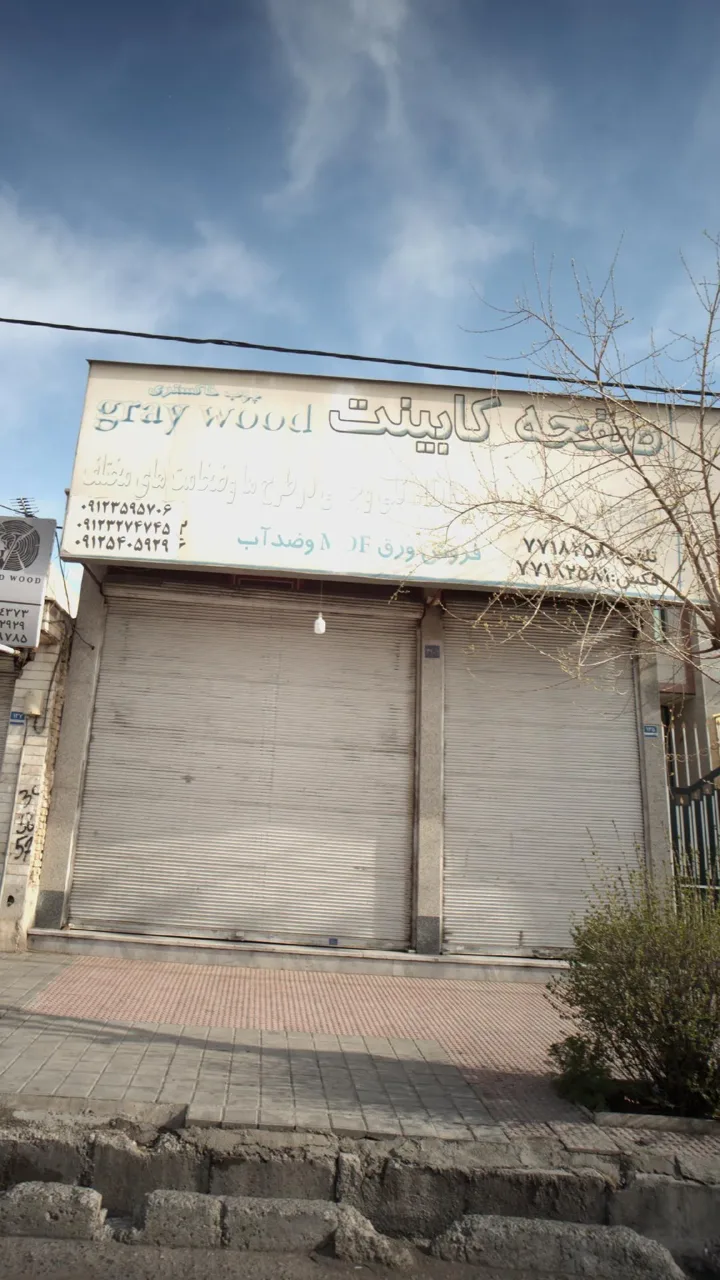 چوب خاکستری
